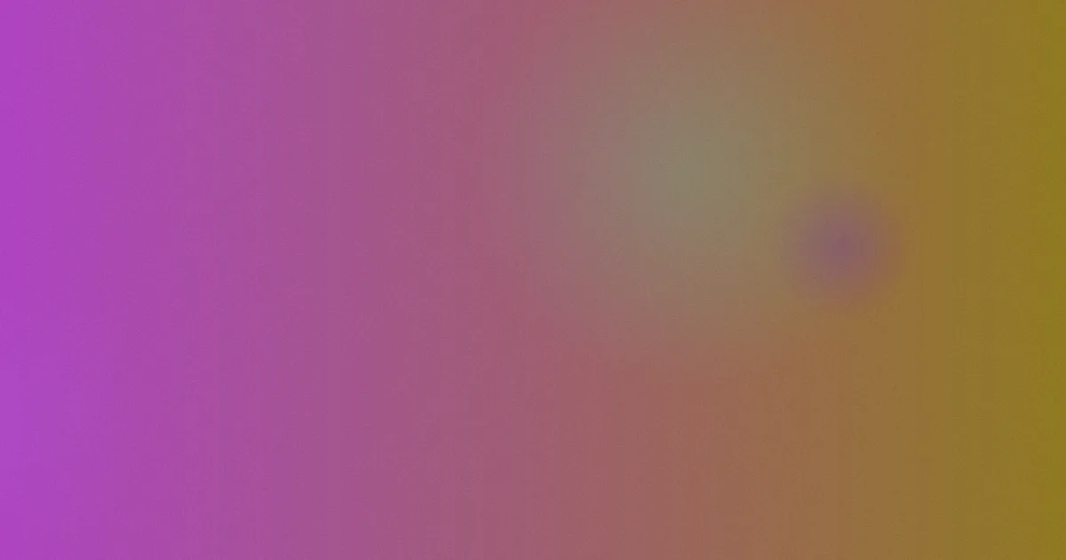 恋老网是什么？一篇说透